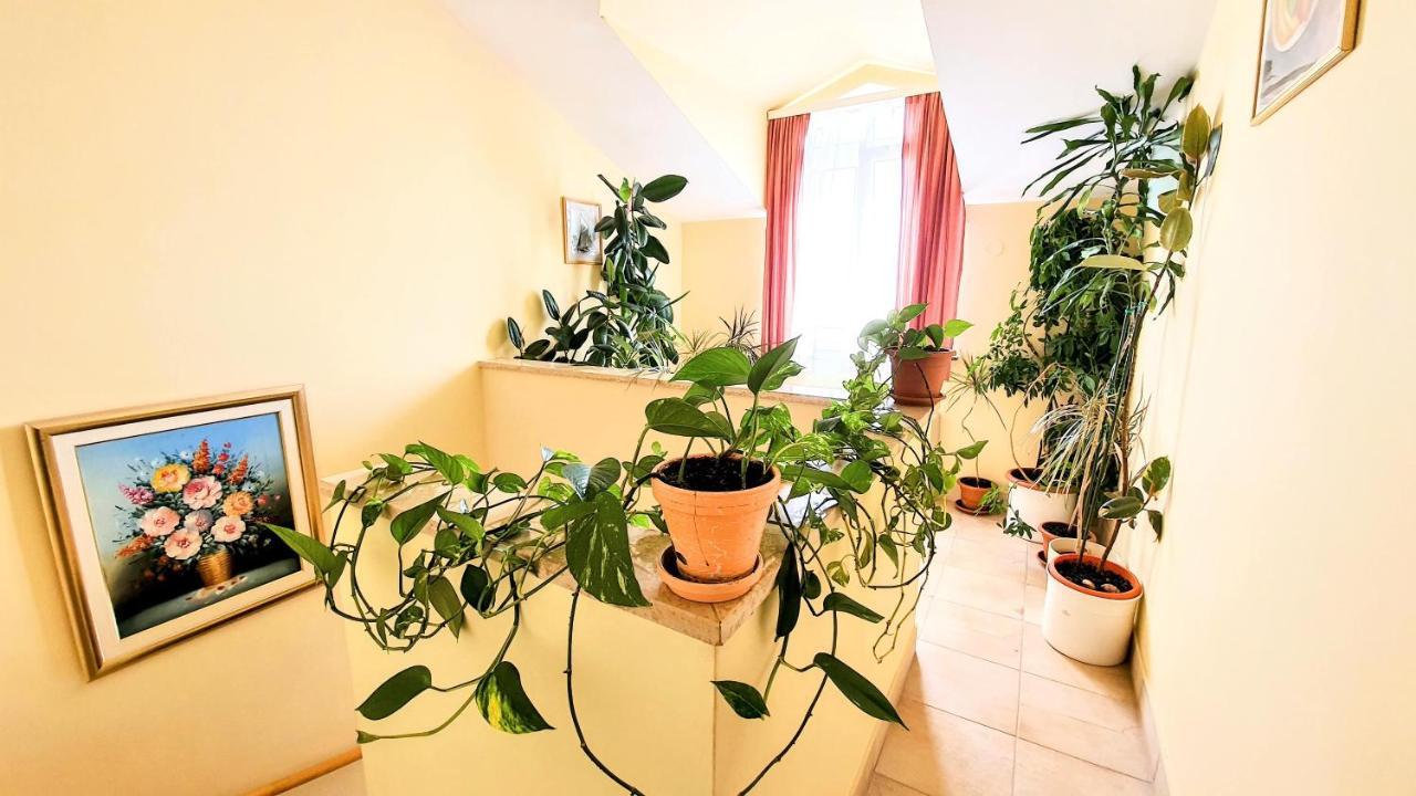 נובליה Villa Palcic מראה חיצוני תמונה